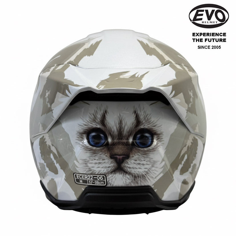 EVO RS10 Kuching Helmet